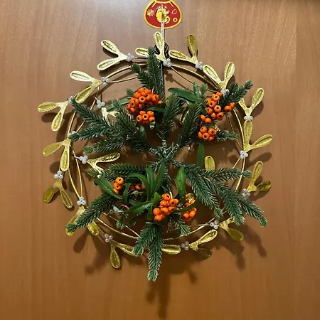 Homestay 威尼斯民宿venezia 东北阿姨的小屋 *