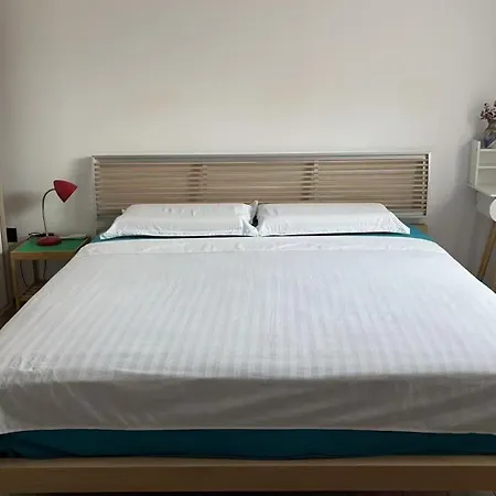홈스테이 威尼斯民宿venezia 东北阿姨的小屋
